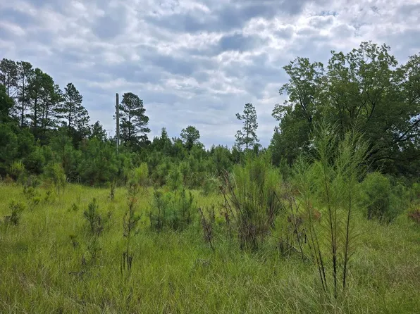 459 Central School Rd, Rembert, SC 29128