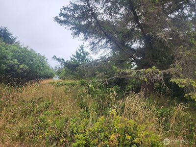 442 Canal Drive NE, Ocean Shores, WA, 98569