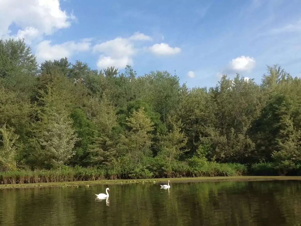 Six Mile Rd, Whitmore Lake — Photo 2