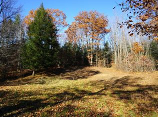 17218 Four Mile Rd, Morley, MI 49336