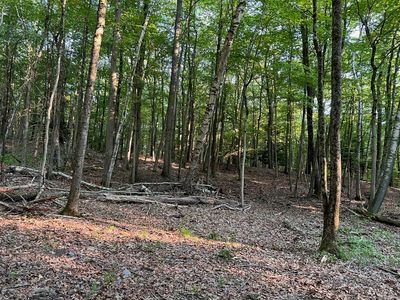 71 Loehr Road, Tolland, CT, 06084