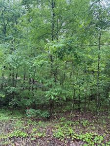 72 Holiday Hls #B, Como, MS, 38619