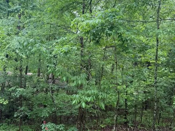 72 Holiday Hls #B, Como, MS 38619