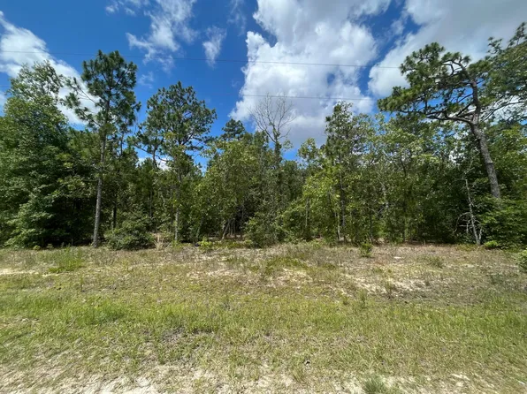 6327 Reed Drive, Keystone Heights, FL 32656