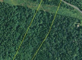 342 Deer Run Rd, Prattsville, NY 12468