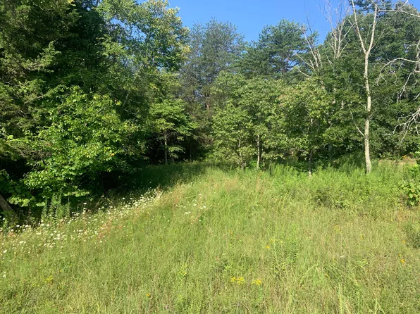 0 Pierce Ln, Bulls Gap, TN 37711