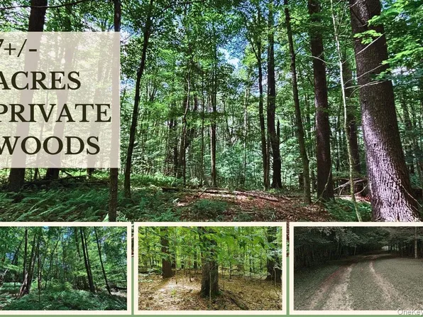 Farm View Road, Other, NY 13786