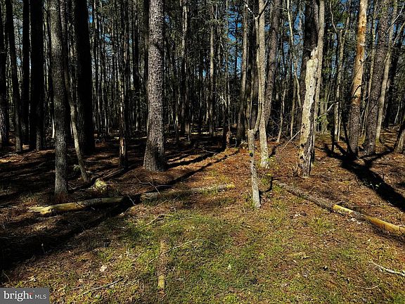 5th image of 0 Public Landing Rd