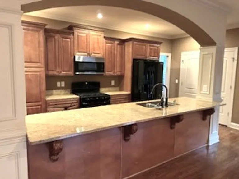 217 Asheton Lakes Way — Photo 3