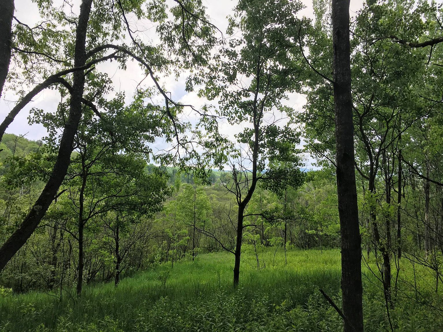 195 Benson Mines Golf Course Rd, Star Lake, NY 13690 MLS 11183399