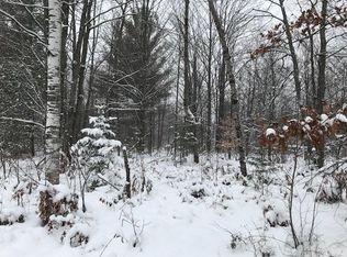 N Pointe Rd, Gaylord, MI 49735