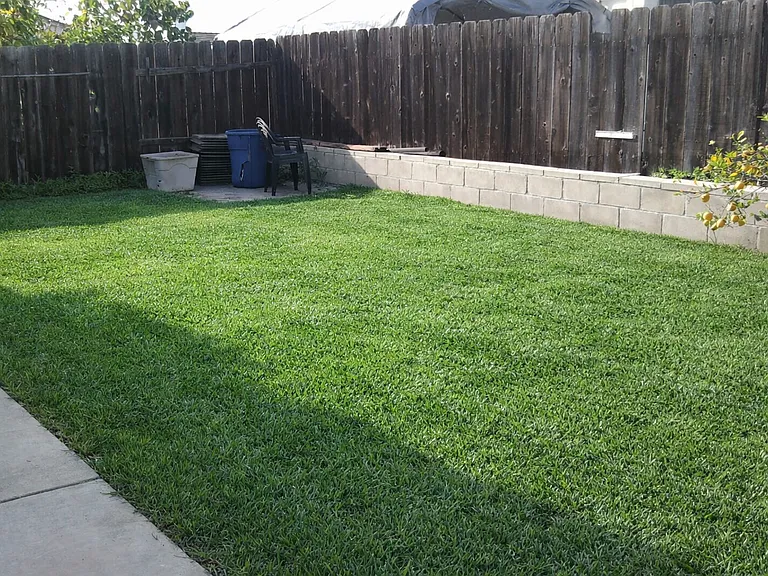 7594 Dancy Rd — Photo 14