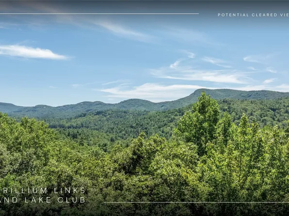 LT 1&2 Trillium Ridge Road, Cullowhee, NC 28723