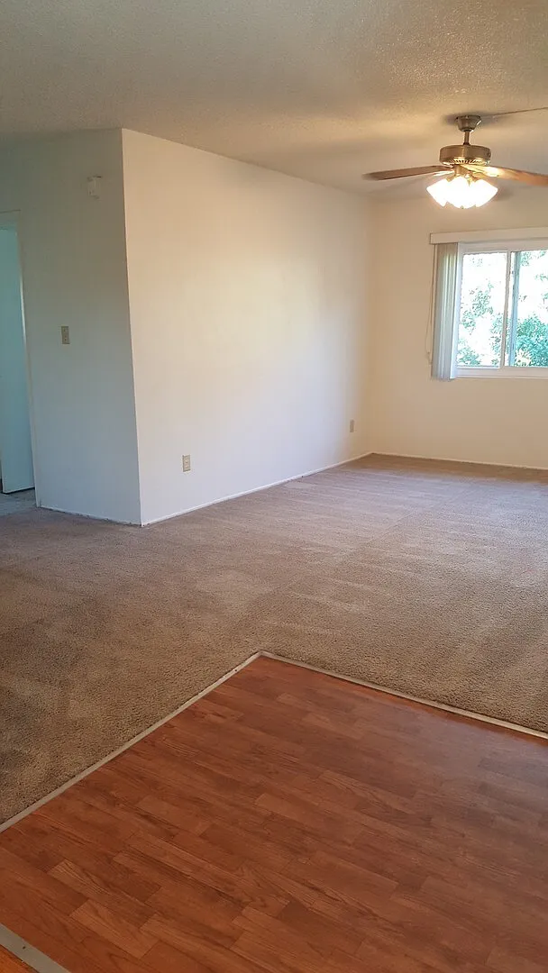 2 bed, 1.0 bath, $2,210 — Photo 4
