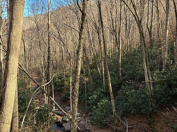 3rd image of 0 Ogles Gap Rd