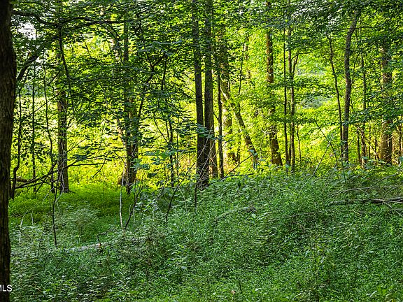 75th image of this home