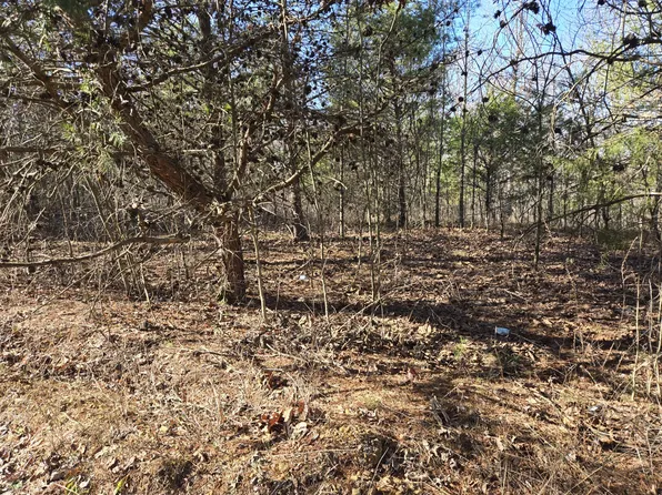 0 Bluff Point Rdg Lot 1, Waverly, TN 37185