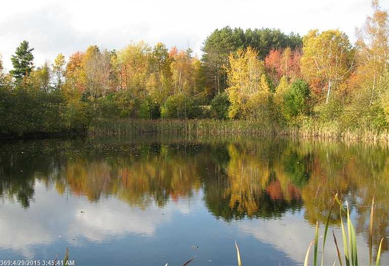 Top 16+ imagen 1108 littlefield road brooks maine in.thptnvk.edu.vn