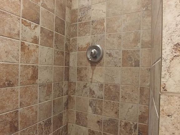 Master all tile shower