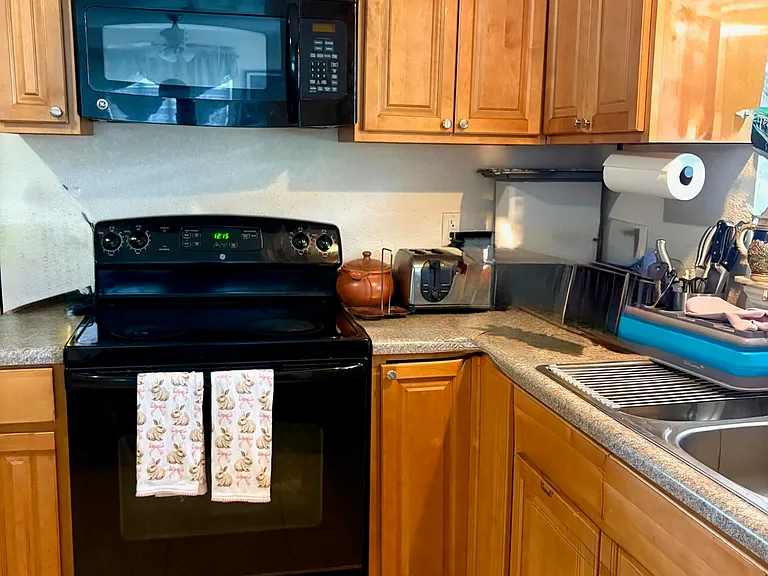 Microwave and Oven