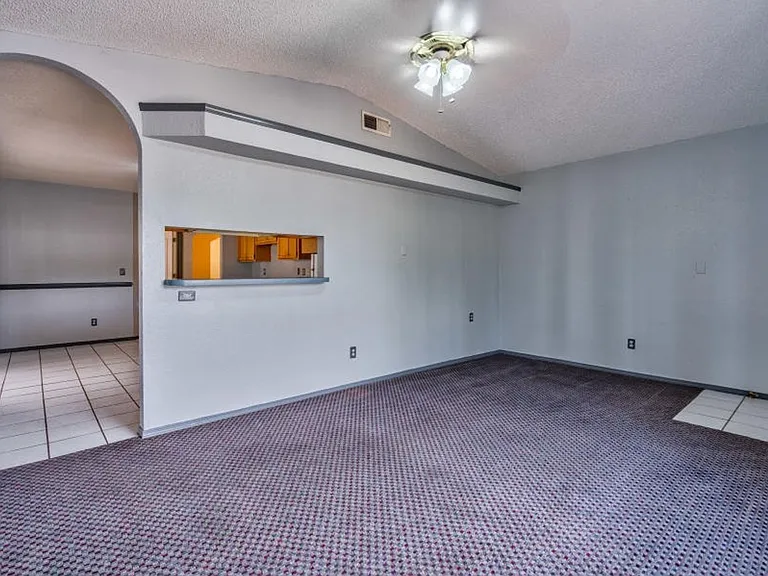 12521 Angie Bombach Ave — Photo 10