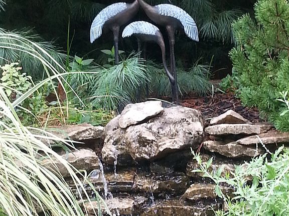 Waterfall In Back Yard