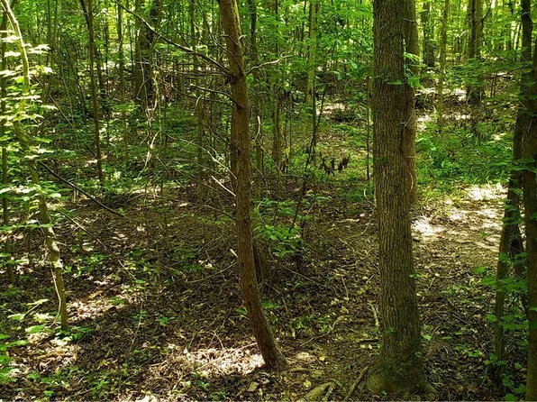 0 Thorn Ridge Ln, Pelzer, SC 29669