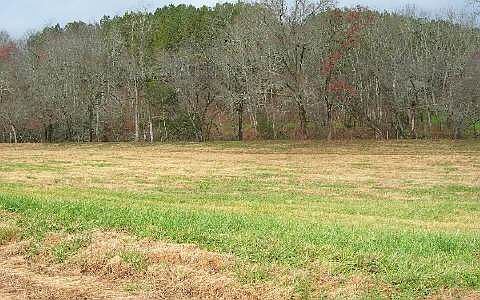1st image of LOT 22 McGlamery Farms