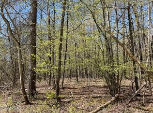 Lakeview Dr, Honesdale, PA 18431