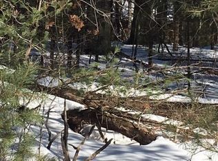 Poor Farm Rd, Harrisville, MI 48740