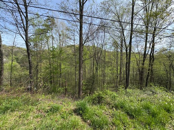 17 Bl Fishermans Cove Rd #1, London, KY 40741