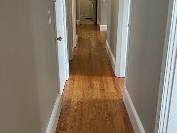 4th image of 16 Bird St #2C