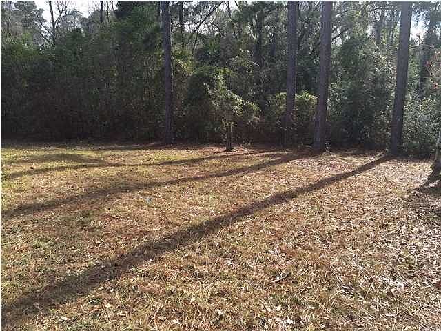 2nd image of 1251 Amelia Ave
