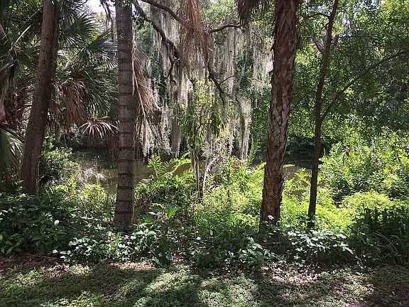 Balcony view of tidal inlet 