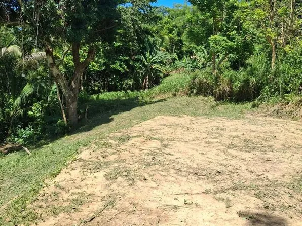 Bo Minillas De Bayamon Carr #Km61-831, Bayamon, PR 00956