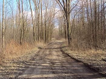 The driveway from the road.