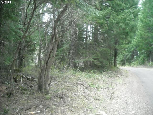 2nd image of Moonshine Rd