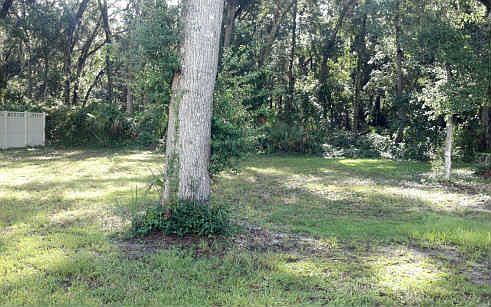 1st image of 95004 Manucy Pointe Dr