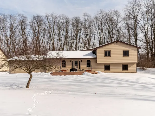 8655 Joeys Dr, Pinckney, MI 48169