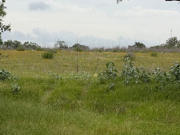 5th image of 6038 County Road 405 LOT 10