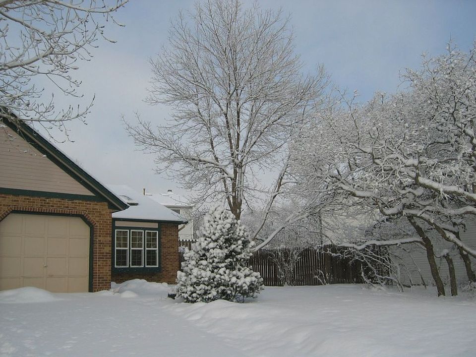 Winter - Front View
