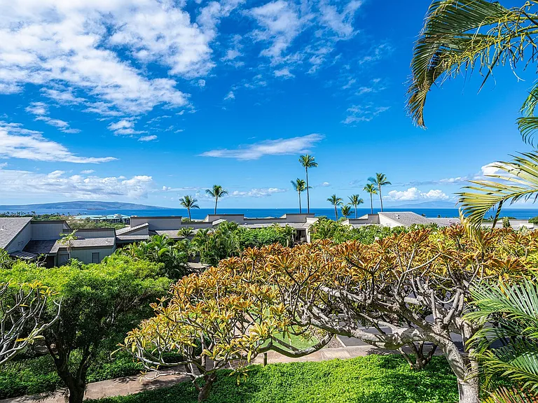 Wailea Ekolu Pl — Photo 24