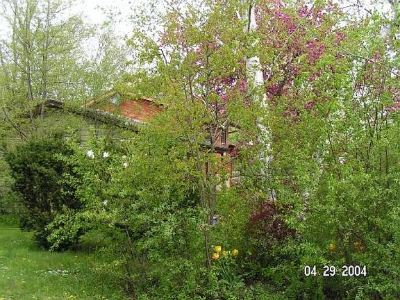 4th image of 302 Westmoreland Dr
