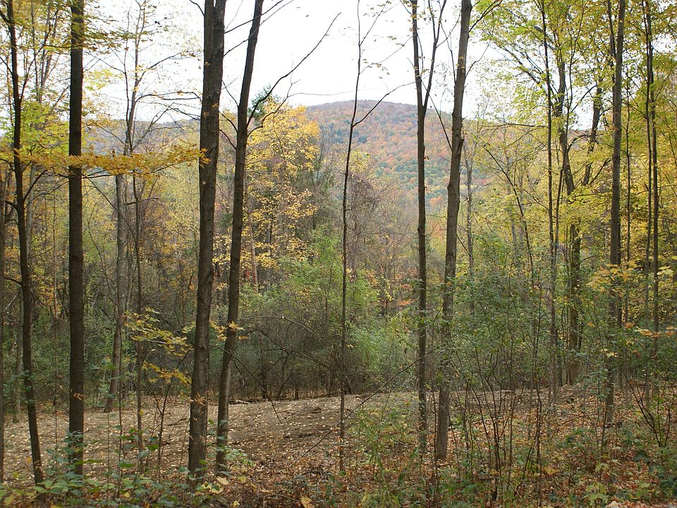 2nd image of Swamp Lane