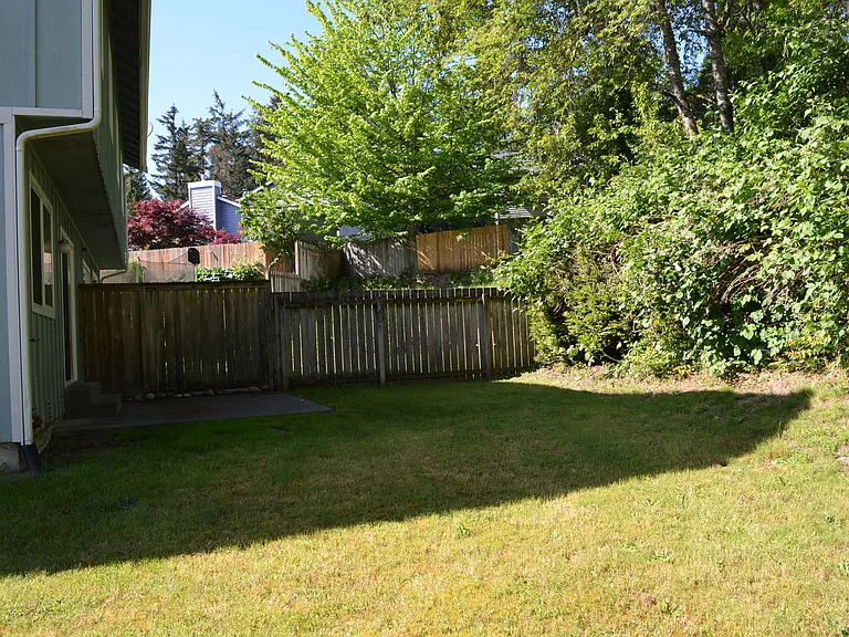 Private backyard.