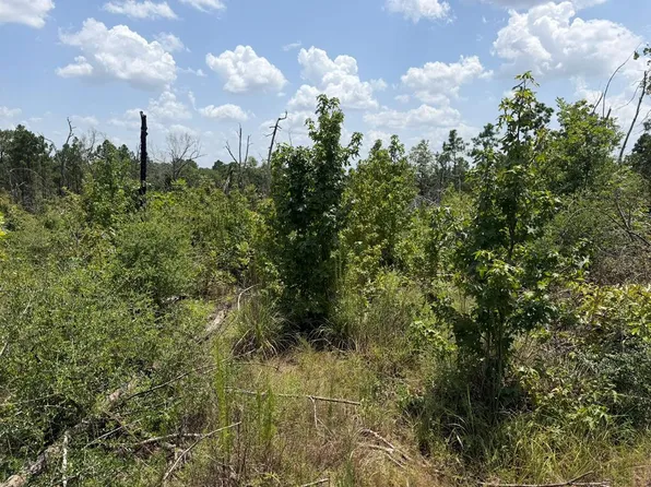 R63280 Pinegrove Rd, Corrigan, TX 75939