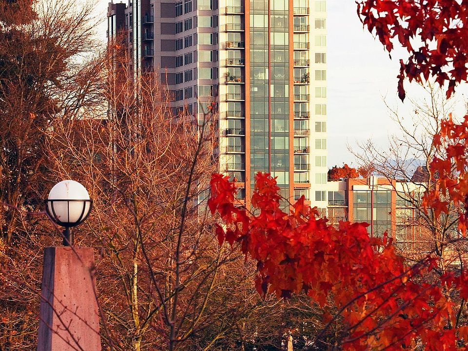 Bellevue Pacific Towers
