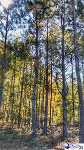 LOT 8 Zachary Ct, Latta, SC, 29565