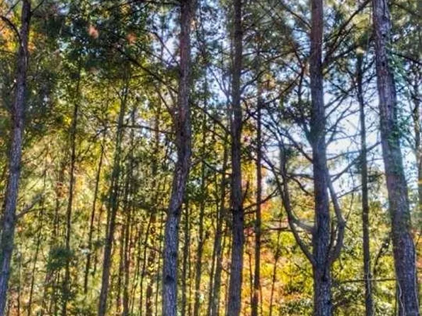 LOT 8 Zachary Ct, Latta, SC 29565