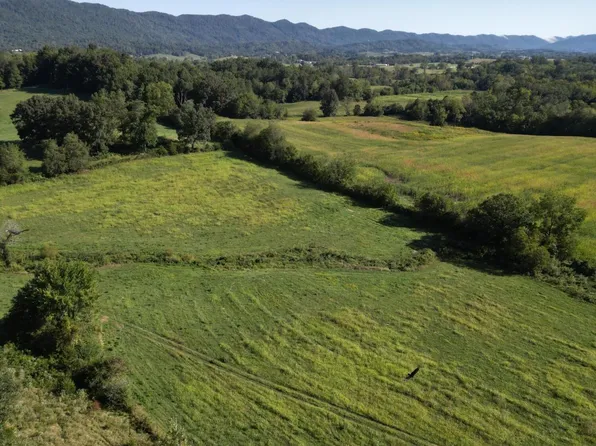 317 Singleton Hollow Rd, Speedwell, TN 37870